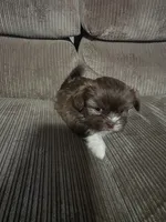 processed/f8078e09-20c9-4c87-9d5b-96ba84fa7f54/listing/e939ca6a-bb97-4f7a-bbb0-fb21b50bea4a/20dece0a-c937-4b70-83ea-b3e2023ee12c