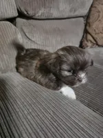 processed/f8078e09-20c9-4c87-9d5b-96ba84fa7f54/listing/e939ca6a-bb97-4f7a-bbb0-fb21b50bea4a/6c1b3ca8-7b24-4bc2-8833-ab20f3377279