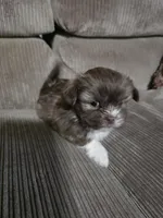 processed/f8078e09-20c9-4c87-9d5b-96ba84fa7f54/listing/e939ca6a-bb97-4f7a-bbb0-fb21b50bea4a/e85c5eab-8430-42cb-a581-14091dcadc7f