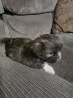 processed/f8078e09-20c9-4c87-9d5b-96ba84fa7f54/listing/e939ca6a-bb97-4f7a-bbb0-fb21b50bea4a/f0df0bca-9164-4865-92a8-d63475374f1f