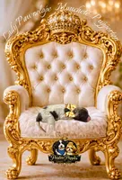 Lady Pawnelope Mouchete Pupperton, a female Poodle - Standard  for sale in Midlothian, TX – Photo 5 of 5