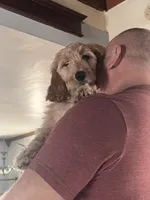 processed/f82e3d30-85d0-45b3-8cce-60f242273a46/listing/52fac321-477c-4921-bf72-e9861c1a8291/4a2ed78a-b544-4150-9d83-0b026f567f95