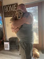 processed/f82e3d30-85d0-45b3-8cce-60f242273a46/listing/52fac321-477c-4921-bf72-e9861c1a8291/c2f0910a-7c97-429b-a1d3-90b0dcf3c82d