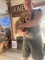 processed/f82e3d30-85d0-45b3-8cce-60f242273a46/listing/52fac321-477c-4921-bf72-e9861c1a8291/dd00a91f-dfb7-42db-9148-1b4515ea9cc3