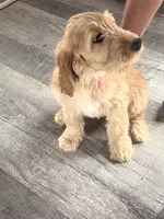 processed/f82e3d30-85d0-45b3-8cce-60f242273a46/listing/52fac321-477c-4921-bf72-e9861c1a8291/fce73bcf-b768-48bc-b997-ad80291a6b02