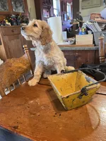 processed/f82e3d30-85d0-45b3-8cce-60f242273a46/listing/57dd6303-3210-403e-932e-5544b6918642/6053fef2-7ad3-49d4-a30d-3dd15dbd797c