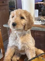 processed/f82e3d30-85d0-45b3-8cce-60f242273a46/listing/57dd6303-3210-403e-932e-5544b6918642/7b9965d3-2ba3-45d8-b80b-a8e5ec6c2f2a