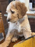 processed/f82e3d30-85d0-45b3-8cce-60f242273a46/listing/57dd6303-3210-403e-932e-5544b6918642/8462c112-3f69-4ae6-8e06-a08b3ab4ef8e