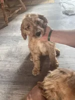 processed/f82e3d30-85d0-45b3-8cce-60f242273a46/listing/57dd6303-3210-403e-932e-5544b6918642/b9fb8fd5-87cc-460c-b477-57d75980bd2a