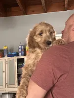 processed/f82e3d30-85d0-45b3-8cce-60f242273a46/listing/57dd6303-3210-403e-932e-5544b6918642/cbe4d157-5480-4e5e-941e-d8a349eaccda