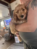 processed/f82e3d30-85d0-45b3-8cce-60f242273a46/listing/57dd6303-3210-403e-932e-5544b6918642/f8f6b223-c82f-4d3b-97cb-103b8e383e07