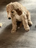 processed/f82e3d30-85d0-45b3-8cce-60f242273a46/listing/702e38bd-8af2-4647-b741-5e656733edb7/99876a50-6d69-487c-be51-f02b683724e1