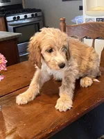 processed/f82e3d30-85d0-45b3-8cce-60f242273a46/listing/702e38bd-8af2-4647-b741-5e656733edb7/b54f44a7-7949-4a0b-a9e5-f9272132156b