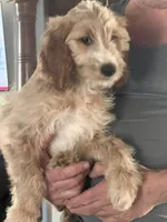 processed/f82e3d30-85d0-45b3-8cce-60f242273a46/listing/702e38bd-8af2-4647-b741-5e656733edb7/b5a464c2-d912-464f-b303-4ccccf61affa