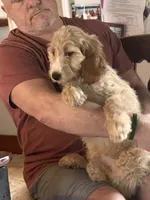 processed/f82e3d30-85d0-45b3-8cce-60f242273a46/listing/702e38bd-8af2-4647-b741-5e656733edb7/c52a32d5-90c4-4b7e-84ce-99d162ff7cb5