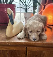 processed/f82e3d30-85d0-45b3-8cce-60f242273a46/listing/a303d663-5123-4cfa-a74c-cc8686ad00cc/174fca94-5601-4557-a22d-907505d72f15