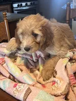 processed/f82e3d30-85d0-45b3-8cce-60f242273a46/listing/a303d663-5123-4cfa-a74c-cc8686ad00cc/243f1acc-c7ee-4c24-8d9f-d55da01056a1