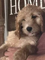 processed/f82e3d30-85d0-45b3-8cce-60f242273a46/listing/a303d663-5123-4cfa-a74c-cc8686ad00cc/85cb242e-b0ef-480a-a8be-ac13ff303aab