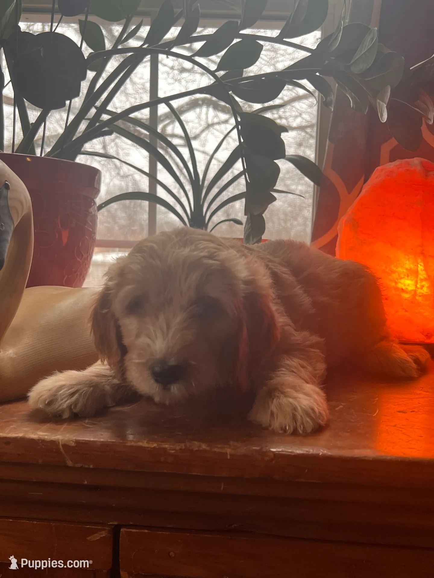 processed/f82e3d30-85d0-45b3-8cce-60f242273a46/listing/a303d663-5123-4cfa-a74c-cc8686ad00cc/95486a64-29d2-4d42-af37-5fc81b83543c