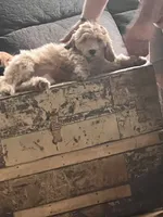 processed/f82e3d30-85d0-45b3-8cce-60f242273a46/listing/cff65814-6031-4917-9853-7d0ef9b11ef4/38bab912-54c5-4ba2-aec4-65211336a563