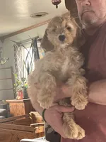 processed/f82e3d30-85d0-45b3-8cce-60f242273a46/listing/cff65814-6031-4917-9853-7d0ef9b11ef4/3b0a83d5-1230-4d2f-b483-887fda8eb23d