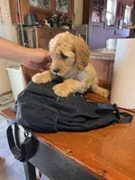 processed/f82e3d30-85d0-45b3-8cce-60f242273a46/listing/cff65814-6031-4917-9853-7d0ef9b11ef4/6c8ab68c-37bd-4cfe-96d1-7cb46d8a9eaf