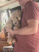 processed/f82e3d30-85d0-45b3-8cce-60f242273a46/listing/cff65814-6031-4917-9853-7d0ef9b11ef4/78f16e83-2d0e-4bbe-ba03-a5df35b2ae1b