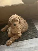 processed/f82e3d30-85d0-45b3-8cce-60f242273a46/listing/cff65814-6031-4917-9853-7d0ef9b11ef4/bc8e8fd3-014f-45d0-9c7a-10a8fe8ec235