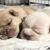 processed/f83deb02-06c2-4f42-a948-dcdef7092ae7/facility/40acb309-7746-4e45-9631-156f9bf4009f