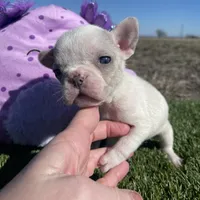 processed/f83deb02-06c2-4f42-a948-dcdef7092ae7/facility/c6ada2db-2c0f-4afd-b389-268a57cd4c92