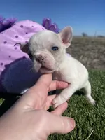 processed/f83deb02-06c2-4f42-a948-dcdef7092ae7/facility/c6ada2db-2c0f-4afd-b389-268a57cd4c92