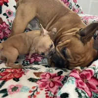 processed/f83deb02-06c2-4f42-a948-dcdef7092ae7/facility/cfcdf014-0389-471a-93ff-beecf02afeeb