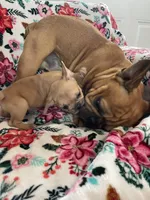 processed/f83deb02-06c2-4f42-a948-dcdef7092ae7/facility/cfcdf014-0389-471a-93ff-beecf02afeeb