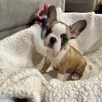 processed/f83deb02-06c2-4f42-a948-dcdef7092ae7/facility/d15c8382-2c79-4e2b-8910-99a6714c6011