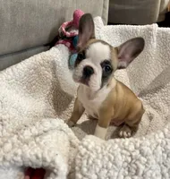 processed/f83deb02-06c2-4f42-a948-dcdef7092ae7/facility/d15c8382-2c79-4e2b-8910-99a6714c6011