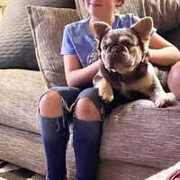 processed/f83deb02-06c2-4f42-a948-dcdef7092ae7/facility/ea1f44d0-d012-4b53-848f-8076650e2ea0