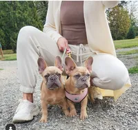 processed/f83e7709-8a39-456e-9e6b-25f165d94e13/facility/c8a9d632-359c-4d3a-b083-6bdb39783cb9