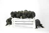 processed/f844b9fd-6a0e-48ee-accc-c0723dc83601/listing/44cb8587-b8e9-4e45-abb1-887314d103dc/2d7e9be2-0769-47c5-8386-bc251887969e