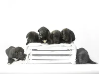 processed/f844b9fd-6a0e-48ee-accc-c0723dc83601/listing/44cb8587-b8e9-4e45-abb1-887314d103dc/37b89f97-71b1-4253-a8d3-37d6ef09a3ee