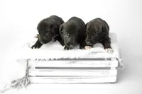 processed/f844b9fd-6a0e-48ee-accc-c0723dc83601/listing/44cb8587-b8e9-4e45-abb1-887314d103dc/56bbb2d9-e2c1-42b3-9f59-cf8c24715dfa