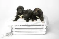 processed/f844b9fd-6a0e-48ee-accc-c0723dc83601/listing/44cb8587-b8e9-4e45-abb1-887314d103dc/b0a87ff4-f789-4d10-9982-d5886e4dcaa7