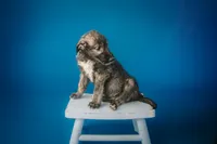 processed/f844b9fd-6a0e-48ee-accc-c0723dc83601/listing/689a3ebb-7efe-40bd-b0f8-6d8bd7a277d4/04a2a8f3-7d9f-4137-bbd1-66b729b02ad9