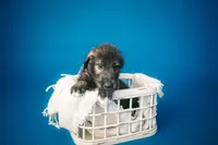 processed/f844b9fd-6a0e-48ee-accc-c0723dc83601/listing/689a3ebb-7efe-40bd-b0f8-6d8bd7a277d4/8d812407-01ec-4b80-9f67-92cee37996cb