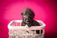 processed/f844b9fd-6a0e-48ee-accc-c0723dc83601/listing/84c69a52-1473-42b2-ade8-550b5a407abd/6b058661-7c14-4399-8afd-b9a10c4143a3