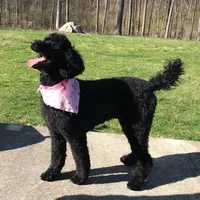 processed/f8457ff2-57ff-42bb-8b09-390423a9708f/facility/1b6a7e02-4405-40e8-9831-d4f19d62f466