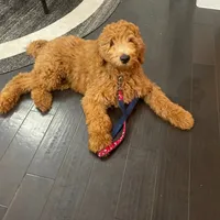 processed/f8457ff2-57ff-42bb-8b09-390423a9708f/facility/42395861-257e-4ee3-b5c4-0c9a36ad80cd