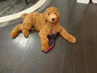 processed/f8457ff2-57ff-42bb-8b09-390423a9708f/facility/42395861-257e-4ee3-b5c4-0c9a36ad80cd