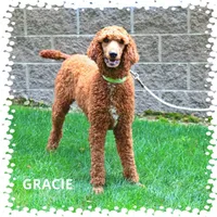 processed/f8457ff2-57ff-42bb-8b09-390423a9708f/facility/5a487982-608e-499c-a380-459767f5681e