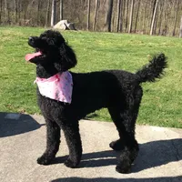 processed/f8457ff2-57ff-42bb-8b09-390423a9708f/facility/7105b072-6cb2-4d3b-8d80-2dffbc7c093f