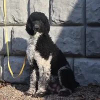 processed/f8457ff2-57ff-42bb-8b09-390423a9708f/facility/83167702-872a-4930-9642-af31403daaf4